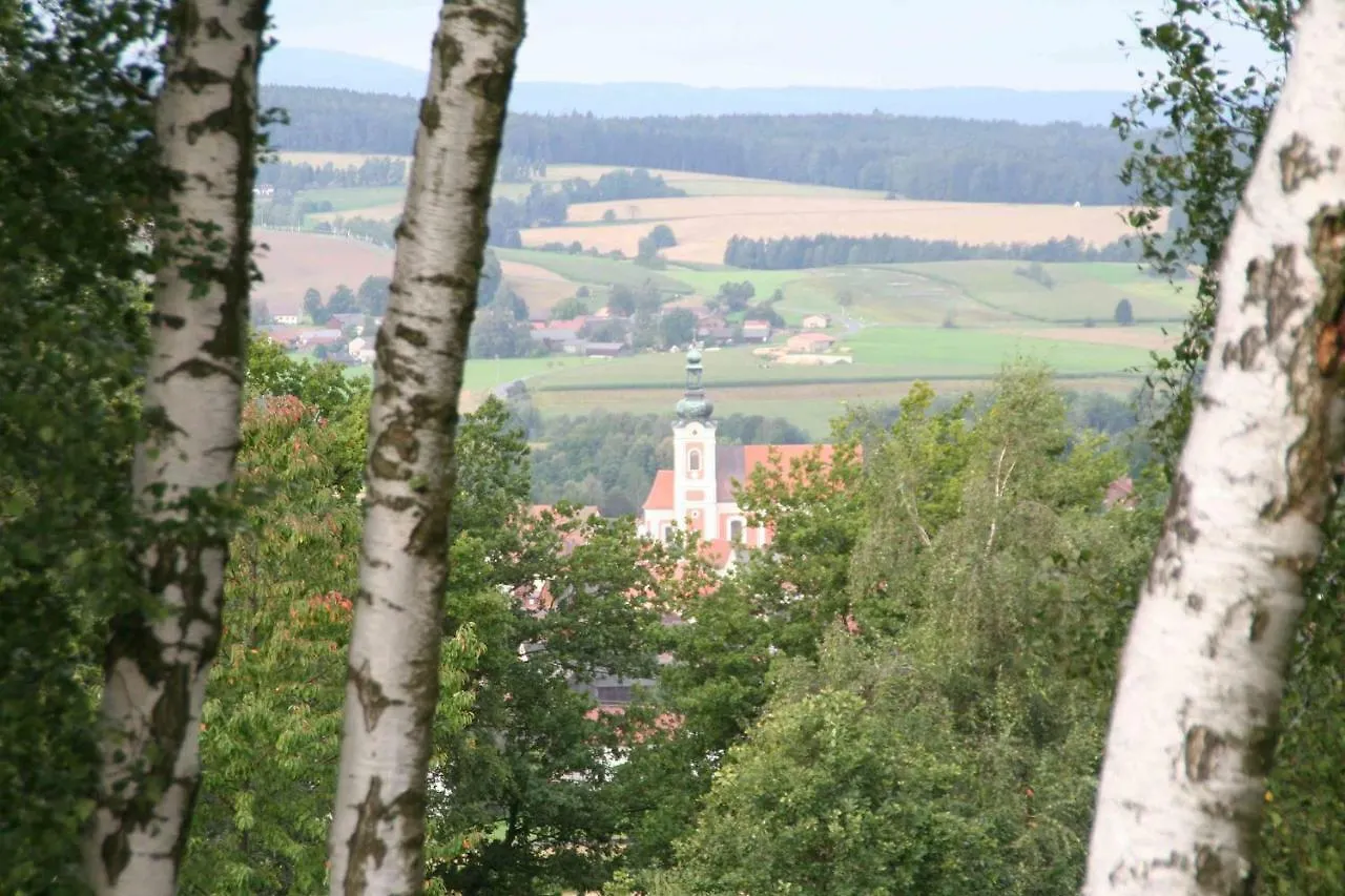 Ferienwohnung Kalin Neualbenreuth Apartment